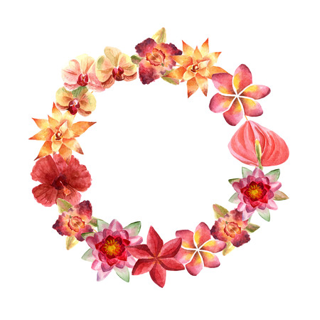 Watercolor frame of tropical flowers isolated on a white backgroundの写真素材