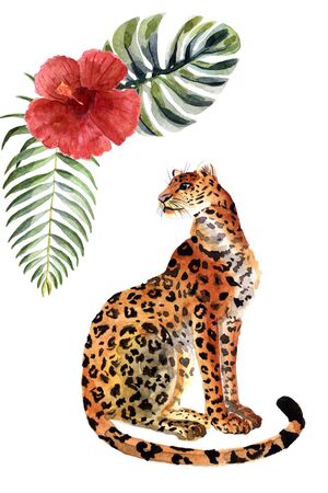 Watercolor jaguar with green leaves isolated on a white backgroundの写真素材