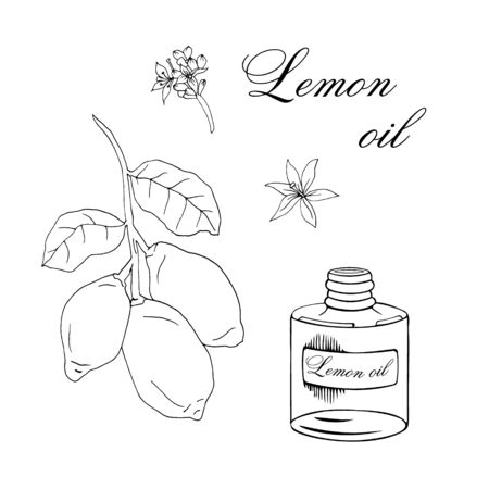 Vector sketch illustration with essential oil of lemon on a white backgroundのイラスト素材