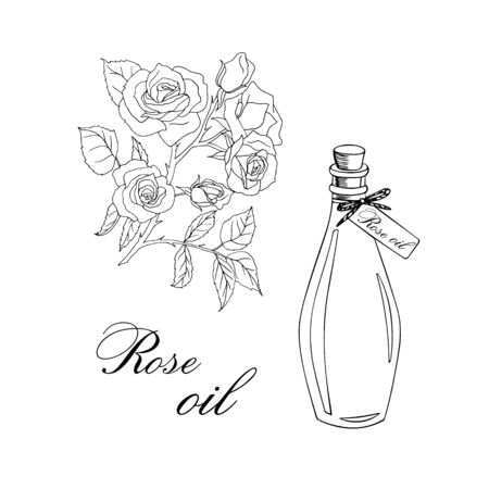 Vector sketch illustration with essential oil of rose on a white backgroundのイラスト素材