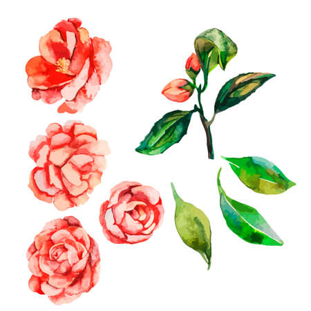 Vector realistic flower.Isolated objects for your design.のイラスト素材