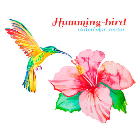 Watercolor. Vector for your design.のイラスト素材