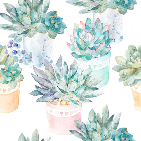 Plant composition.ferns, thorns. Fashionable and quality pattern.の写真素材