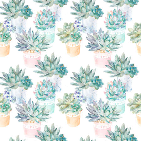 Plant composition.ferns, thorns. Fashionable and quality pattern.の写真素材