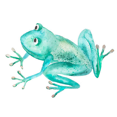 Handmade. Watercolor illustration of a high quality for your design. Eco art.の写真素材