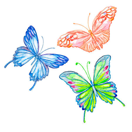 Handmade. Watercolor illustration of a high quality for your design. Eco art.の写真素材