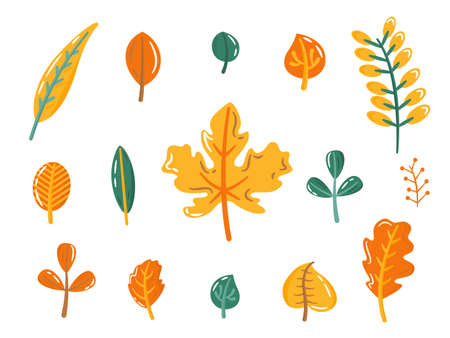 Fall leaves vector set. Autumn yellow, orange and green foliage. Flat illustration in cartoon style.のイラスト素材