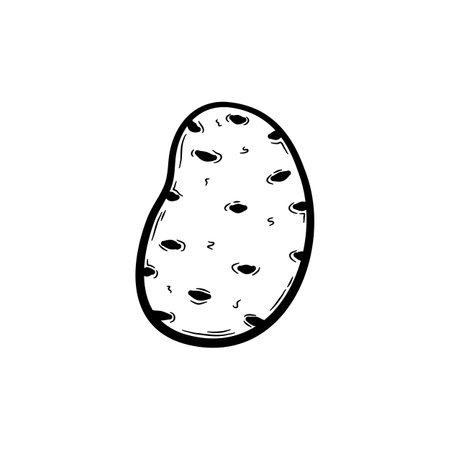 Hand drawn potatoes. Vegetable sketch isolated on white background. Organic food, eating healthy. Flat vector illustration in doodle style.のイラスト素材