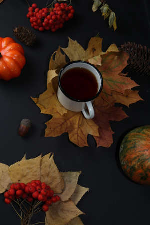 A cup of tea on yellow maple leaves. Next to a row of pine cones, acorns and pumpkins, isolated on a black backgroundの写真素材
