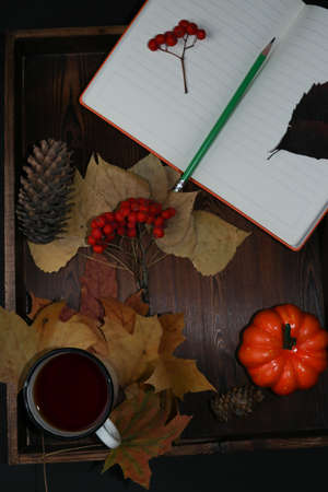 Cup of tea, red mountain ash, yellow leaves, notebook and pencil isolated on a wooden backgroundの写真素材