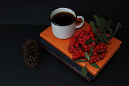Autumn still life. Red mountain ash, a cup of tea with cinnamon, a fir cone and a skein of twine isolated on a black backgroundの写真素材