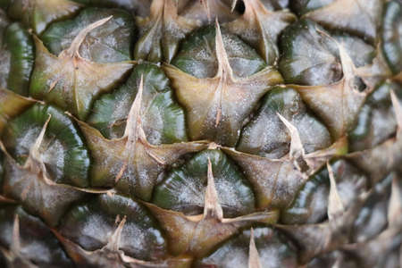 Large and juicy pineapple isolated on a white background. Delicious and healthy yellow fruit