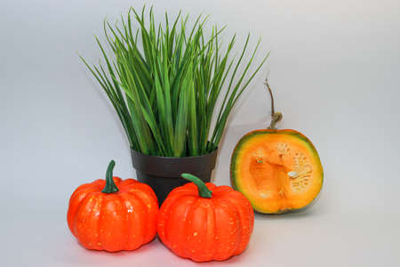 Large juicy orange pumpkins isolated on a white background. Autumn still life. Fruits of autumn