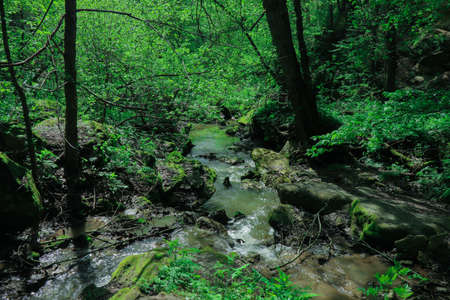 rocky riverbank. Green meadows with bright juicy grass. Large boulders in a forest clearing near a...