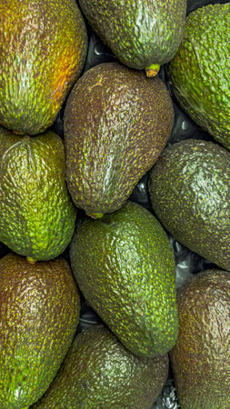 Lots of green avocados in a box in a store. Fruits on the counter in a supermarket