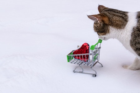 Kitten and cart with a heart on the winter snow.の写真素材