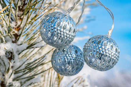 Winter background. Silver balls garlands on a snow-covered fir-tree branch