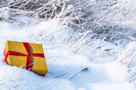 Winter background. A gift box in the snow on the leftの写真素材