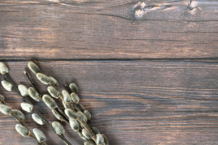Easter background. Willow branches in the lower corner on a dark wood background.の写真素材