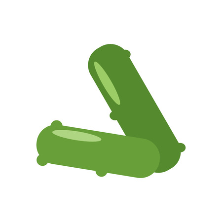 Pickles icon vector isolated on white background, Pickles transparent signのイラスト素材