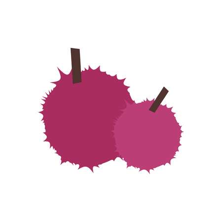 Lychee icon vector isolated on white background, Lychee transparent signのイラスト素材