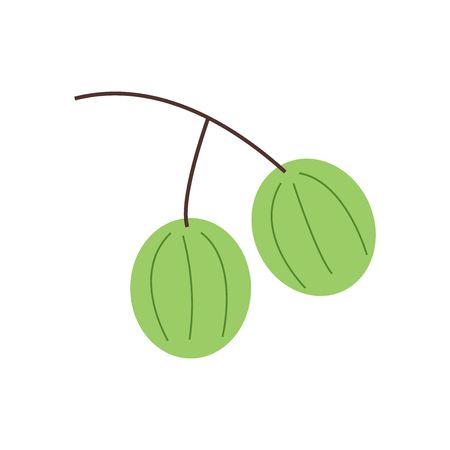 Gooseberry icon vector isolated on white background, Gooseberry transparent signのイラスト素材