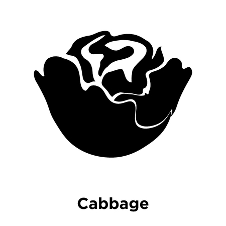 Cabbage icon vector isolated on white background, logo concept of Cabbage sign on transparent background, filled black symbolのイラスト素材