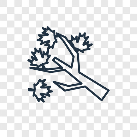 Tree branch concept vector linear icon isolated on transparent background, Tree branch concept transparency concept in outline styleのイラスト素材