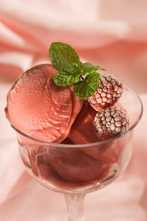 raspberry sorbetの写真素材