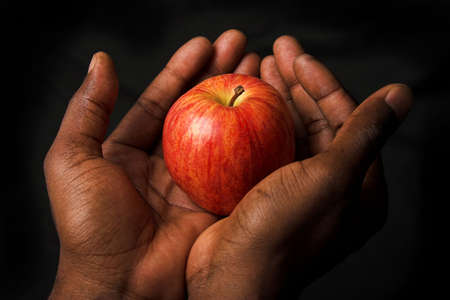 apple in handsの写真素材