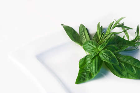 herbs on white plateの写真素材