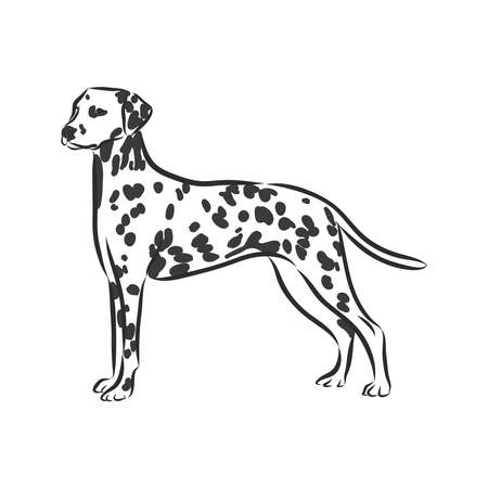 Illustration of a pattern with a dog by a Dolmatianのイラスト素材