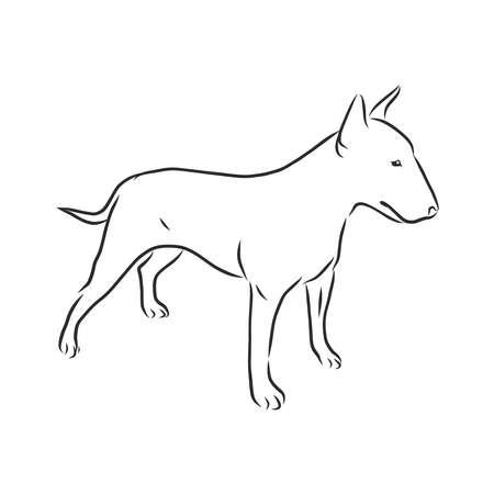 Bull Terrier, hand drawn doodle, sketch in pop art style, vectorのイラスト素材