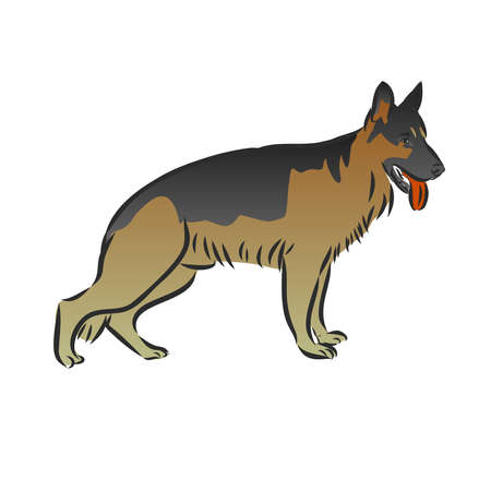 German Shepherd dog breed vector illustration from the dog show sign symbol setのイラスト素材