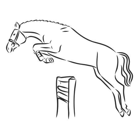 A sketch of a dressage rider on a horse executing the half pass.のイラスト素材