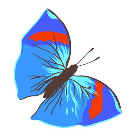 colorful realistic butterfly, insect, vector illustration for decorationのイラスト素材