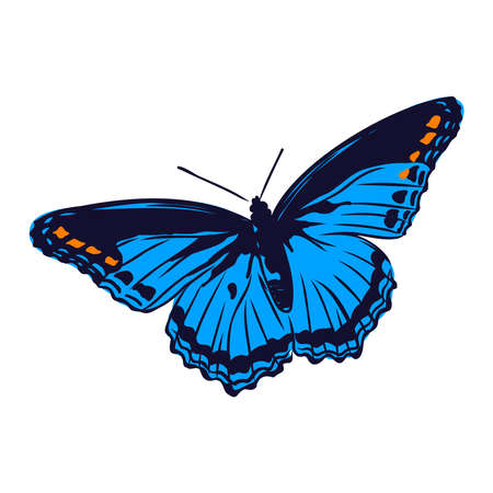 colorful realistic butterfly, insect, vector illustration for decorationのイラスト素材