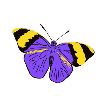 colorful realistic butterfly, insect, vector illustration for decorationのイラスト素材