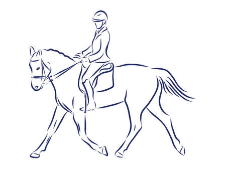 Horseback riding, horsemanship contour vector illustrationのイラスト素材