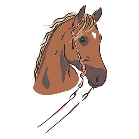 happy horse portrait vector illustration, horse portrait, horse head, vectorのイラスト素材