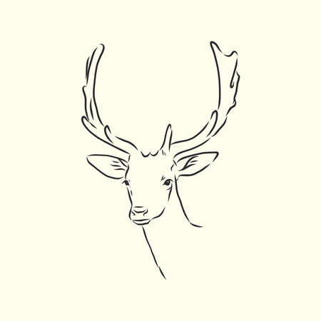 Deer portrait. Hand drawn vector illustration. Can be used separately from your design.のイラスト素材
