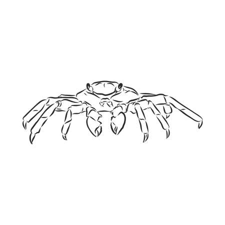 Sea blue striped illustration with crabのイラスト素材