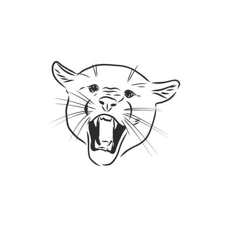 Hand-drawn illustration portrait of puma.のイラスト素材