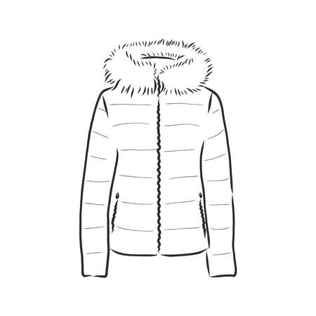Vector Sketch Parka Jacket. Winter Outerwear.のイラスト素材