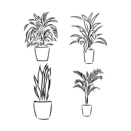 Hand drawn pot plants vector set. indoor plants vector sketch illustrationのイラスト素材