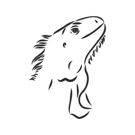 Sketch of iguana. Hand drawn illustration converted to vector. iguana vector sketch illustrationのイラスト素材