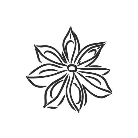 Vector line drawing handmade star anise isolated on white background. sketches of spicesのイラスト素材