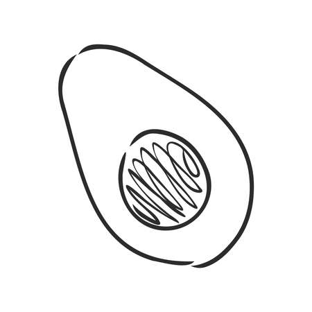 Avocado. Contour illustration. Exotic fruit in woodcut style. Isolated vector on white background.のイラスト素材