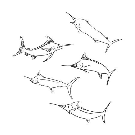Hand drawn swordfish. Vector illustration in sketch styleのイラスト素材