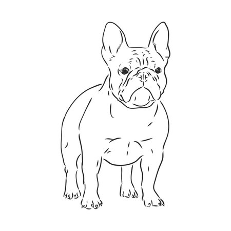 Line art of dog with three difference of faceのイラスト素材